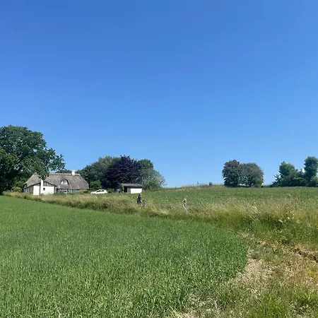 Immersion In Timber Frame House On Southwest Funen Holiday home Harby