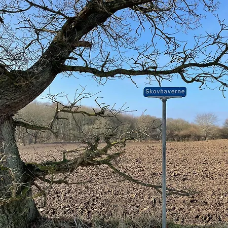 Immersion In Timber Frame House On Southwest Funen * Hårby