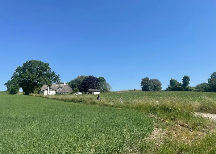 Immersion In Timber Frame House On Southwest Funen 別荘 Hårby