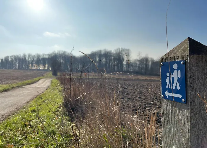 Immersion In Timber Frame House On Southwest Funen 別荘 *