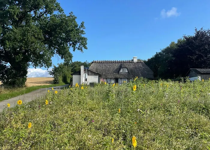 別荘 Immersion In Timber Frame House On Southwest Funen Hårby