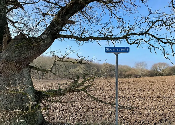 Immersion In Timber Frame House On Southwest Funen * Hårby